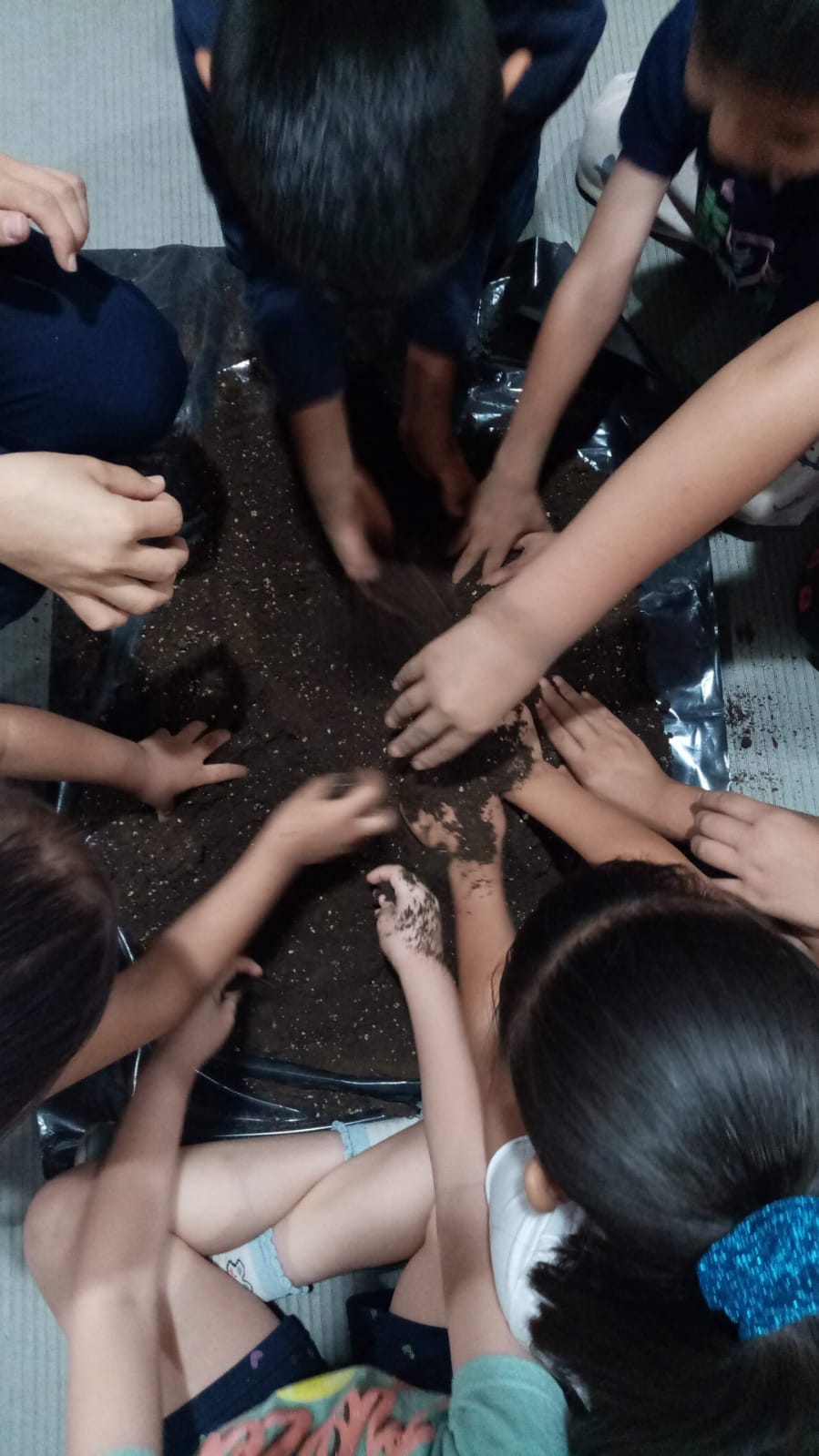 Actividad Cultural Comunitaria: Feria del Medio Ambiente